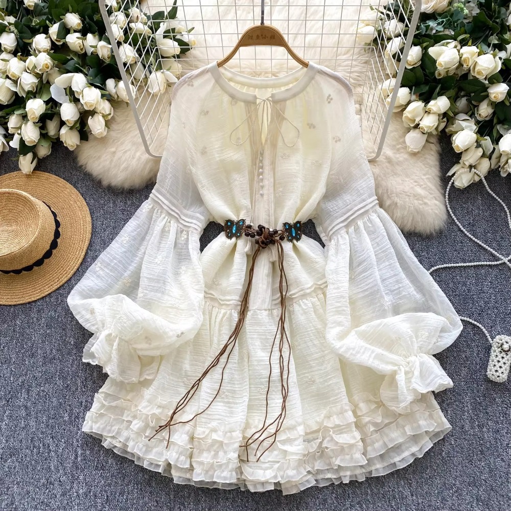 Sweet Embroidered O-neck Lace- - Winter Clothing Dress Up 评论和价格