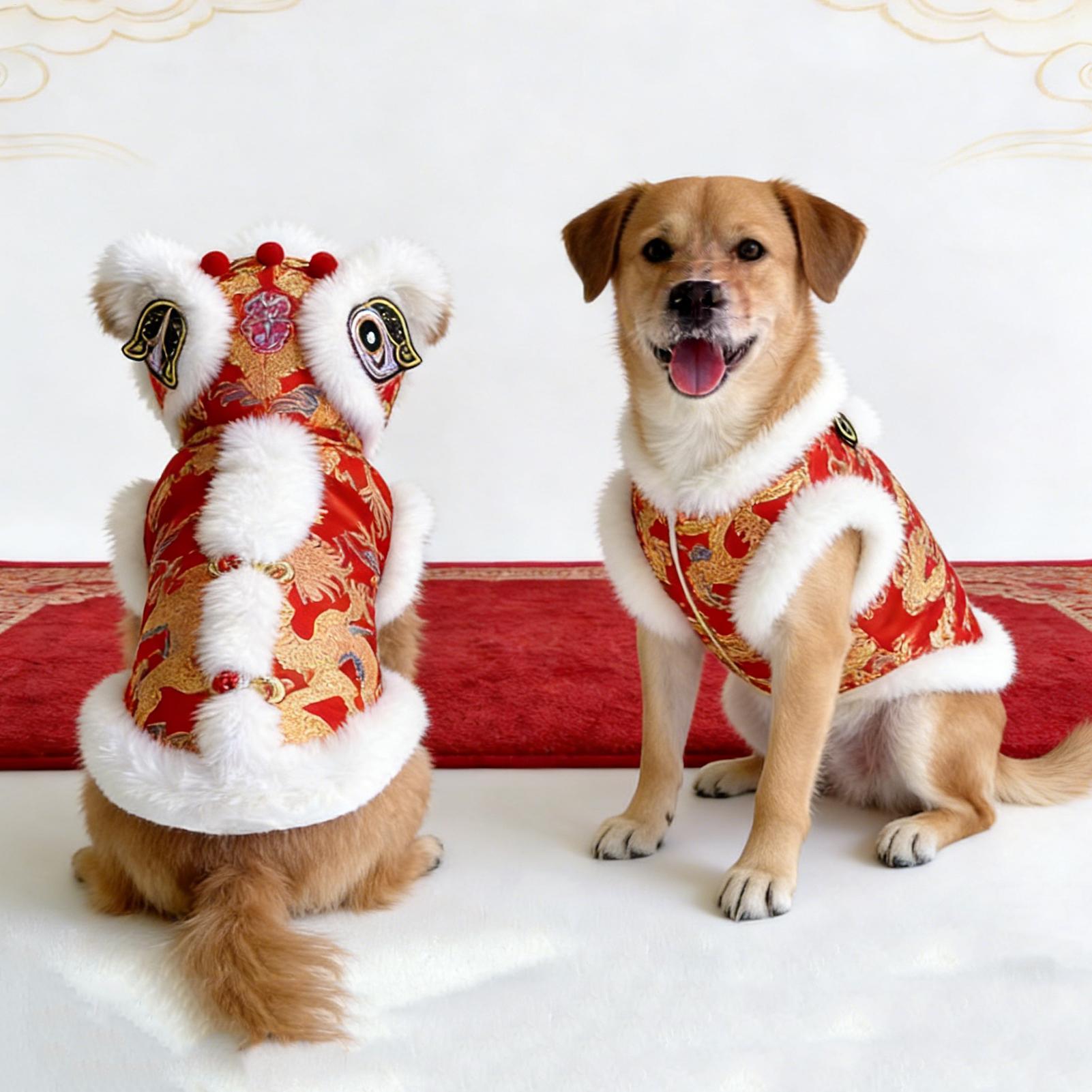 Lion Dance Cat Costume Winter  - Winter Clothing Dress Up 评论和价格