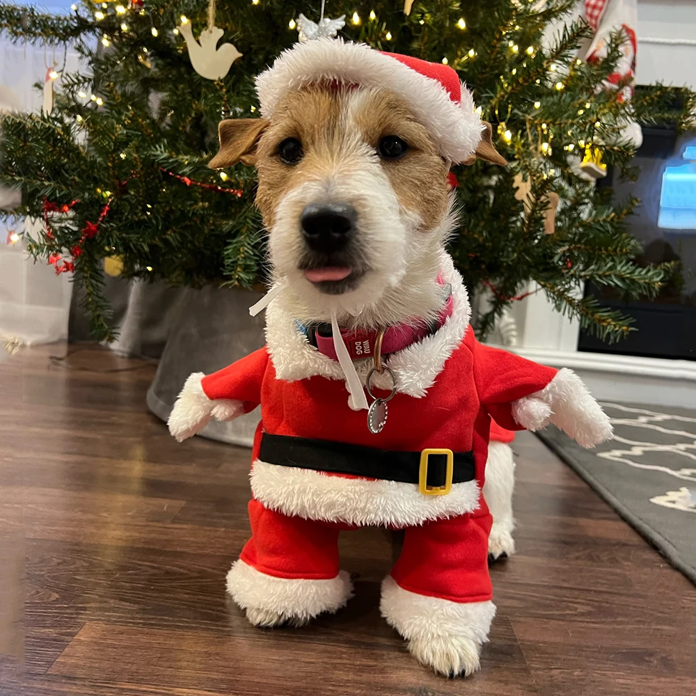 Christmas Clothes For Dogs Cat - Winter Clothing Dress Up 评论和价格