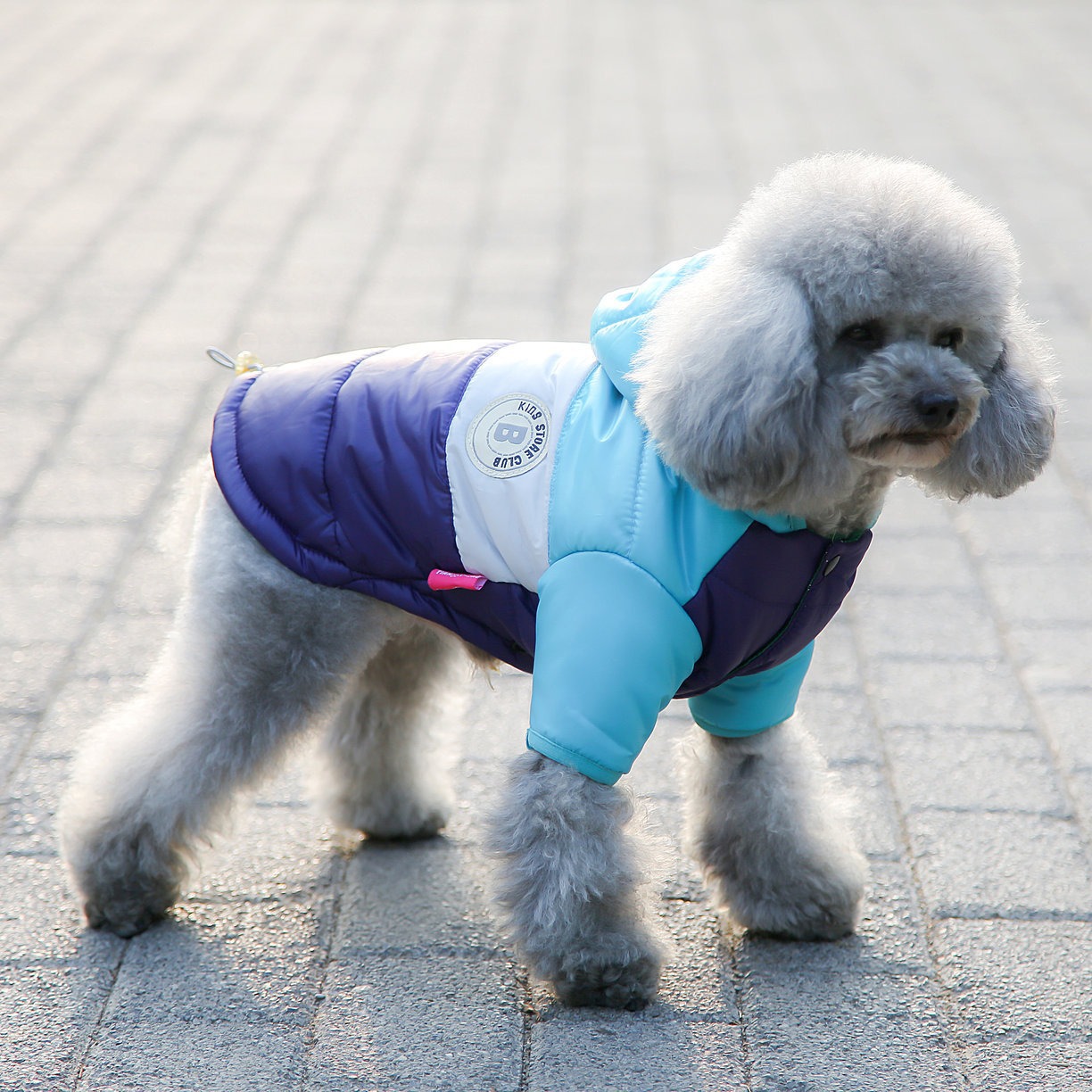 Pet Vest Pet Supplies Winter C - Winter Clothing Options 评论和价格